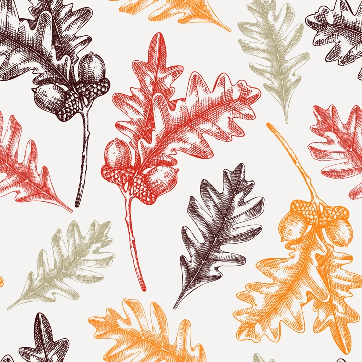 Oaktree seamless pattern Decorative autumn leaf sketches. Hand-drawn botanical backdrop in sketched style. Vintage oak tree branch with fall leaves and acorn illustrations. Thanksgiving background